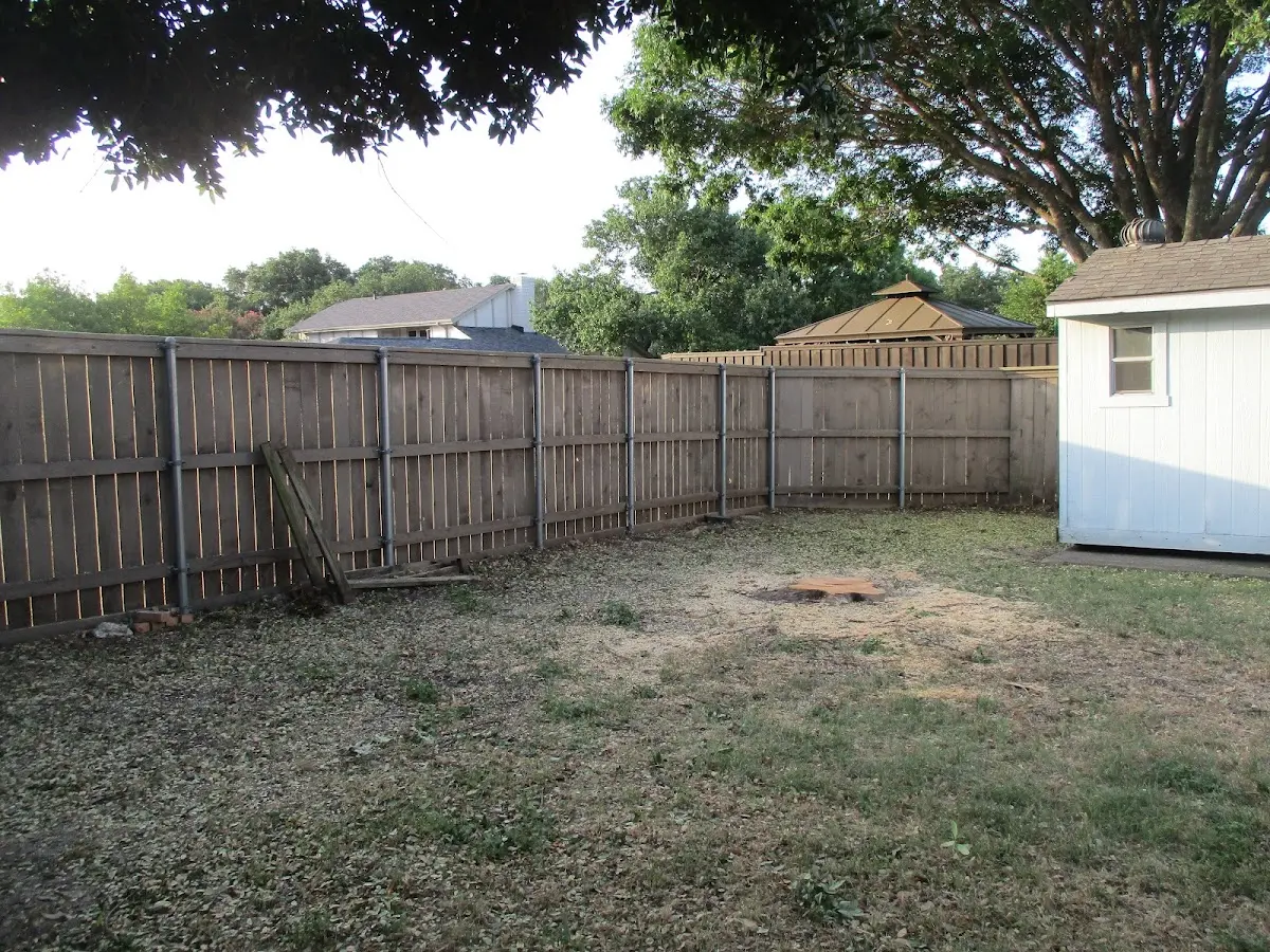 Cleared yard after professional tree removal in Antoine
